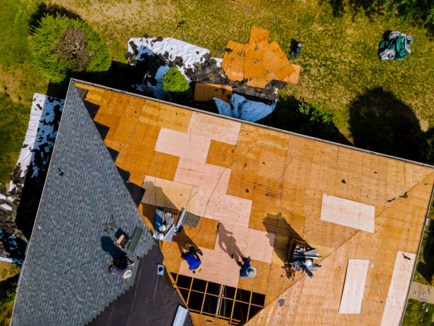 Best Roof Maintenance Services  in Holiday, FL