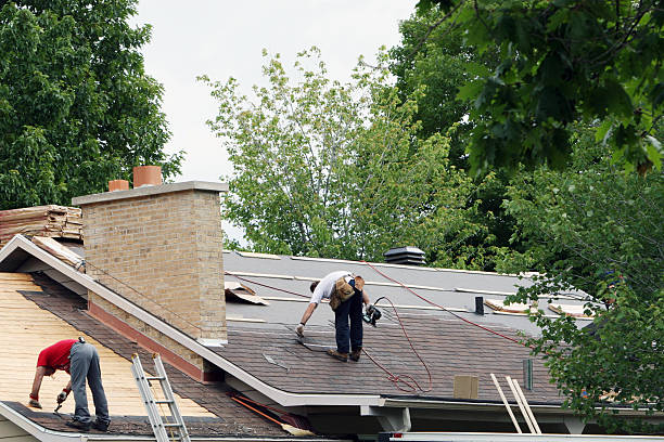 Roof Waterproofing Services in Holiday, FL
