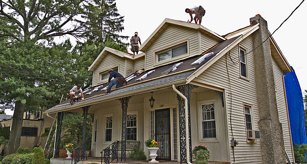 Best Roofing Contractors for Homes  in Holiday, FL