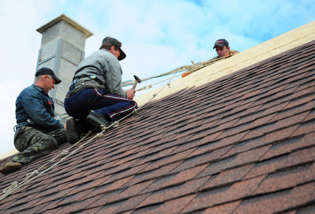 Professional Roofing Contractor in Holiday, FL