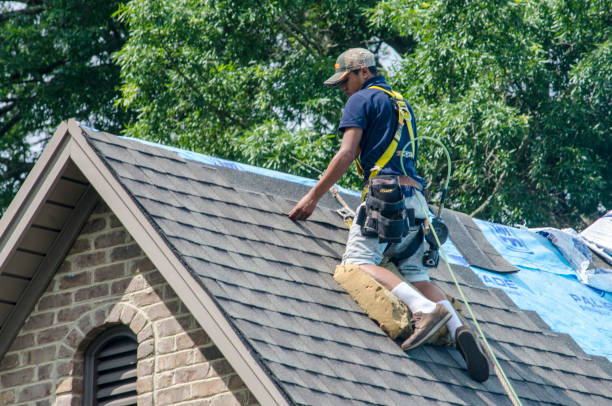 Best Commercial Roof Installation  in Holiday, FL